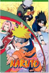 Erik Poster Erik Animation: Naruto Shippuden - Naruto (GPE6020)
