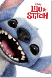 Erik Poster Erik Disney: Lilo & Stitch - Stitch Live Action Face (GPE6009)