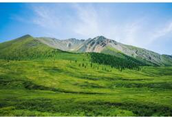 MÉDIA Öntapadó és mosható fali tapéta Natura108, 250 x 200 cm (FOTOTAP9783)