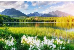 MÉDIA Media Natura137 vászonfestmény, 105 x 70 cm (TABIMG3356)