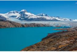 MÉDIA Natura42 öntapadós és mosható fali tapéta, 250 x 200 cm (FOTOTAP9256)