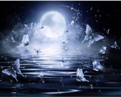 MÉDIA Öntapadós tapéta Pillangók az éjszakai fényben, 250 x 200 cm (FOTOTAP13991)