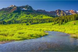 MÉDIA Matrica tapéta Natura175 Folyó, fenyők és hegy, 250 x 200 cm (FOTOTAP14605)
