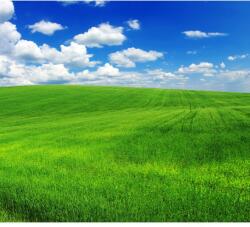 MÉDIA Natura105 Vászonfestmény, 90 x 90 cm (TABIMG3456)