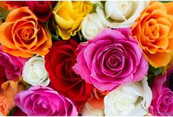 Blueback MAT Színek robbanása tapéta, 300 x 200 cm (BBIMG3424)