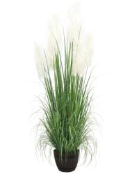 WELLIS - Pampafű műnövény 244cm (WN00017)