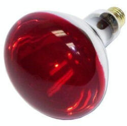 Philips Infralámpa izzó 100 wattos Philips típusú (15862)