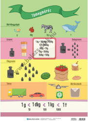 Balázs-Diák Zrt Tömegmérés tabló (BD-2193T)