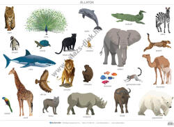 Balázs-Diák Zrt Oktató tabló - állatok II (BD-1167)