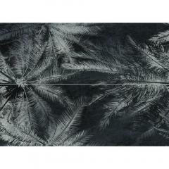 Tubadzin Sedona Palms 2 elemes dekor 65, 8x89, 8