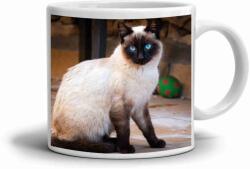  Fehér kerámia bögre 330ml képpel - Sziámi macska (HRNEK-90X82-BILY-513)