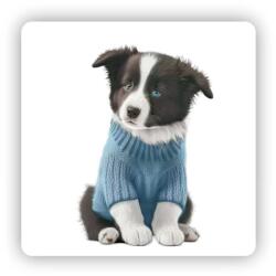  65x65mm négyzetes mágnes - border collie pulóverben (MAGNET-65X65-CTVEREC-20)