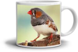  Fehér kerámia bögre 330ml képpel - zebrapintyek (HRNEK-90X82-BILY-395)