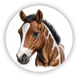  60x60mm-es kör alakú mágnes - egy gyönyörű ló portréja (MAGNET-60X60-KRUH-57)