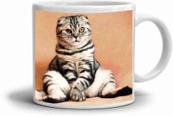  Fehér kerámia bögre 330ml képpel - ülő skót lógófülű macska (HRNEK-90X82-BILY-511)