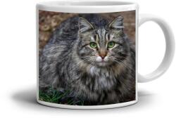  Fehér kerámia bögre 330ml képpel - 3. kategória (HRNEK-90X82-BILY-124)