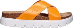 Lotto CRISPA 39