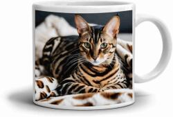  Fehér kerámia bögre 330ml képpel - Bengáli macska (HRNEK-90X82-BILY-489)