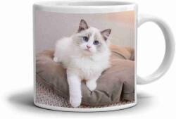  Fehér kerámia bögre 330ml képpel - ölelnivaló ragdoll (HRNEK-90X82-BILY-520)