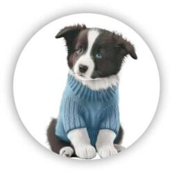  60x60mm Kör Mágnes - border collie pulóverben (MAGNET-60X60-KRUH-20)
