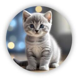  65x65mm-es kör alakú mágnes - aranyos szürke cica (MAGNET-65x65-KRUH-55)