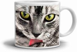  Fehér kerámia bögre 330ml képpel - macskanyelv (HRNEK-90X82-BILY-510)