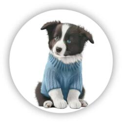  65x65mm-es kör alakú mágnes - border collie pulóverben (MAGNET-65X65-KRUH-20)