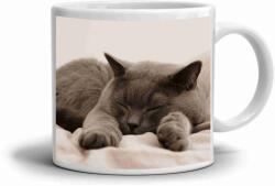  Fehér kerámia bögre 330ml képpel - macska békésen alszik (HRNEK-90X82-BILY-492)