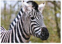  27x19, 5cm-es (88 darabos) kirakó képpel - zebra (PUZZLE-27X19-88-46)