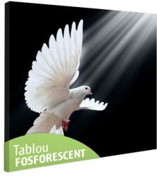  Tablou fosforescent Porumbel alb 40 cm x 40 cm (ABB3111)