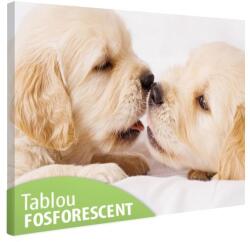  Tablou fosforescent Iubareti 60 cm x 40 cm (ABB3184)