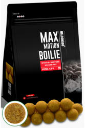 Haldorádó MAX MOTION Boilie Long Life 16 mm - Spanyol Mogyoró (HD33025)
