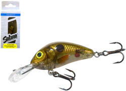 Salmo Wobbler Rattlin Hornet H3 5f Cps (844136cs)