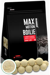 Haldoradó Haldorádó MAX MOTION Boilie Long Life 16 mm - Juhar & Banán (HD33322)