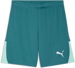 PUMA Teamliga 26 shorts s