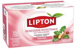 Lipton béltea biotin 17 x 1, 9 g