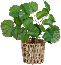 Mica Decorations Fikusz kosárban zöld