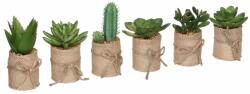 Mica Decorations műnövény pozsgás növényválogatás cserépátmérő 5cm x 12cm zöld