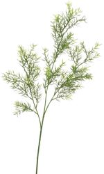 MICA Dekor aszparáguszág zöld 70 cm (14-4464-0)