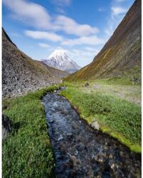 MÉDIA Natura80 öntapadó és mosható fali tapéta, 150 x 205 cm (FOTOTAP5553)