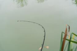 Korum Limitless Feeder 13ft 3.9m/200g/3