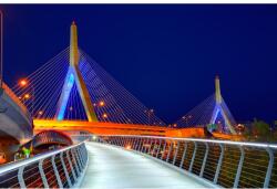 MÉDIA Öntapadó és mosható falfestmény Bridge in Boston, 250 x 200 cm (FOTOTAP9463)