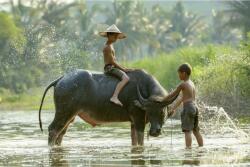 MÉDIA Média People 8 vászonfestmény, 105 x 70 cm (TABIMG5151)