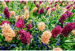 MÉDIA Flori126 vászonfestmény, 105 x 70 cm (TABIMG4375)