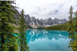 MÉDIA Natura28 öntapadós és mosható fali tapéta, 250 x 150 cm (FOTOTAP7032)