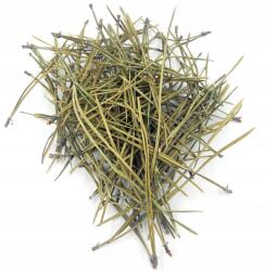 AGREST Fenyőtű, Agrest, 100% természetes, egykomponensű, DoyPack, 50 g (ART97758)