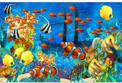 MÉDIA Öntapadós tapéta Víz alatti világ 2, 250 x 200 cm (FOTOTAP13972)
