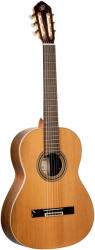 Ortega Guitars R20GWN