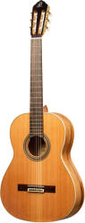 Ortega Guitars R20GRG-L