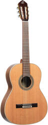 Ortega Guitars R20GSNWN